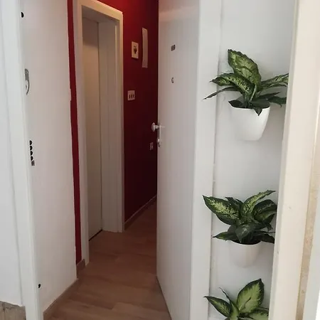 Tia * سبليت
